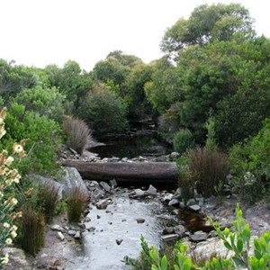 Sardine Creek