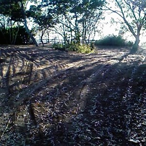 Carmila Beach Rest Area