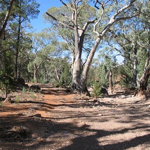 Drive Through to Pinda Reserve