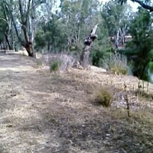 Terramungamine Reserve