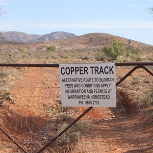 Copper track-locked gate