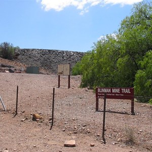 Nuccaleena Mine Ruins