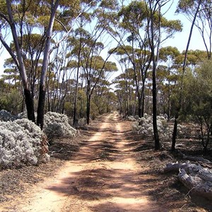  Eyre Hwy & Minor Track