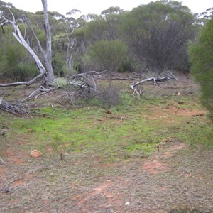 Sinclair Soak