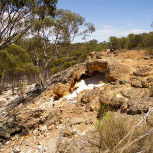 Beagley's Breakaway