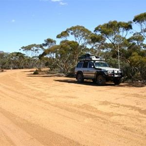 Lake Grace Newdegate Rd & Holland Tk Rest Area