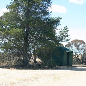 Green Shed