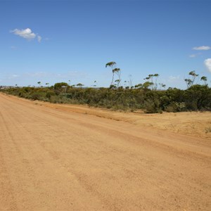 Newdegate Rd Nth & Dragon Rocks Access