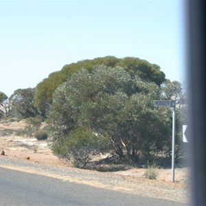 Lake Grace - Newdegate Rd & Rodger Rd