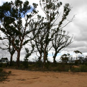 Centenary Rocks Campsites