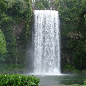 Millaa Millaa Falls