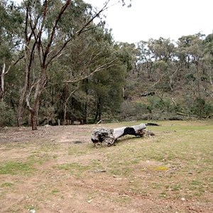 Black Hill Fire Trail - Camp Site