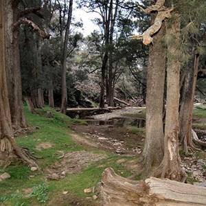 Silent Creek Camp Area