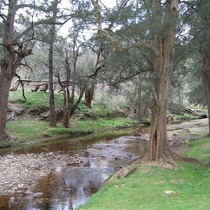 Silent Creek Camp Area