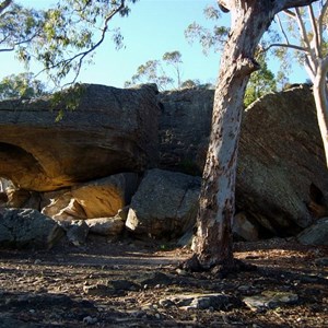 Dunns Swamp