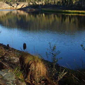 Dunns Swamp