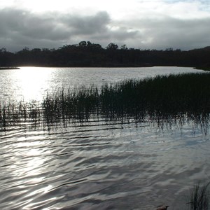 Dunns Swamp