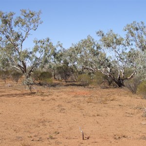 Hale River Flood Plain