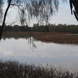 Chinchilla Weir