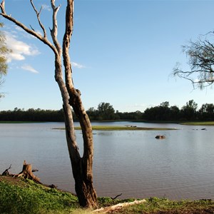 Chinchilla Weir