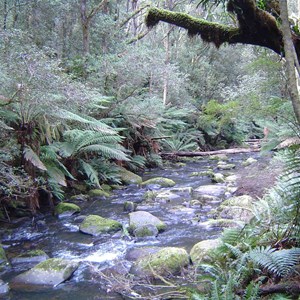 Hopetoun Falls