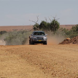 Cuppa Creek, Birdsville Developmental Rd