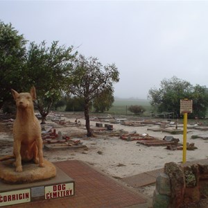 The Dog Cemetery