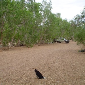 Gregory River Camp