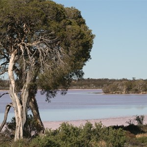 Murray-Sunset National Park