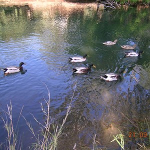 Burra Caravan Park