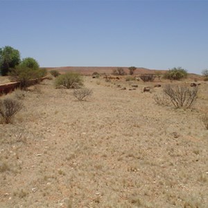 Lake Nannine Station