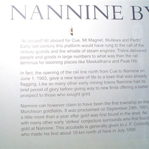 Lake Nannine Station