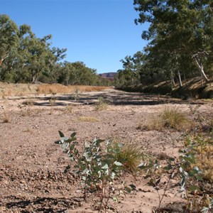 Finke River & Ellery Creek