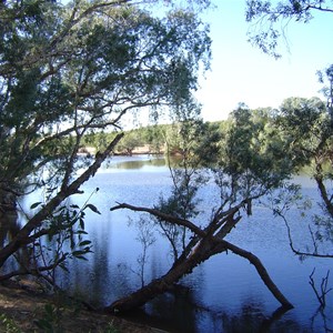 Kingfisher Camp