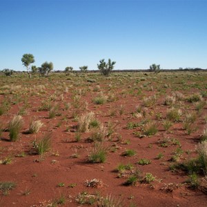 Connolly Basin Meteorite Impact Crater