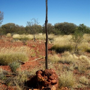 Connolly Basin Meteorite Impact Crater