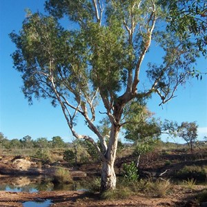 Valentine Creek