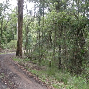 Bellbird Rest Area