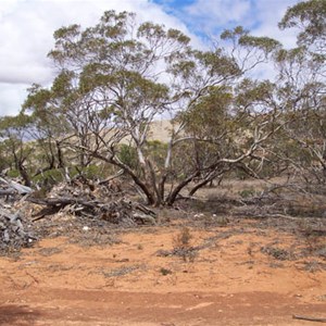 Little Mt Wudinna