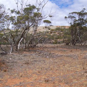 Little Mt Wudinna