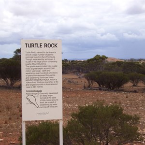 Turtle Rock