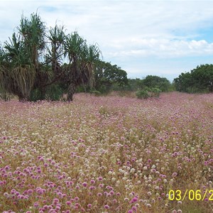 Middle Lagoon