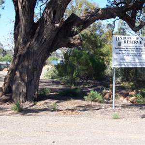 Swan Reach - Tenury Hunter Reserve