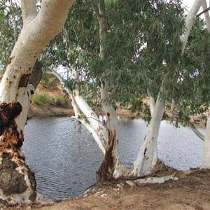 Tjingkulatjatjarra Pool