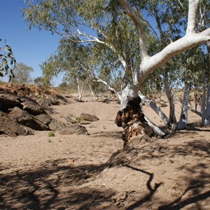 Tjingkulatjatjarra Pool