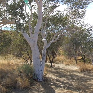 Curran Curran Water Hole