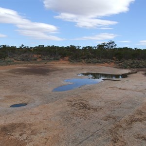 Goog's Track Water Hole