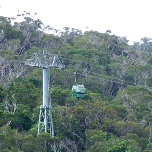 Skyrail Rainforest Cableway