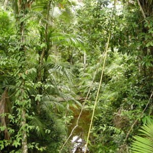 Tam O'Shanter National Park