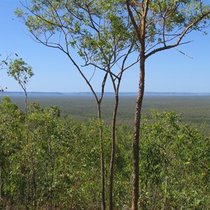 Mirrai Lookout